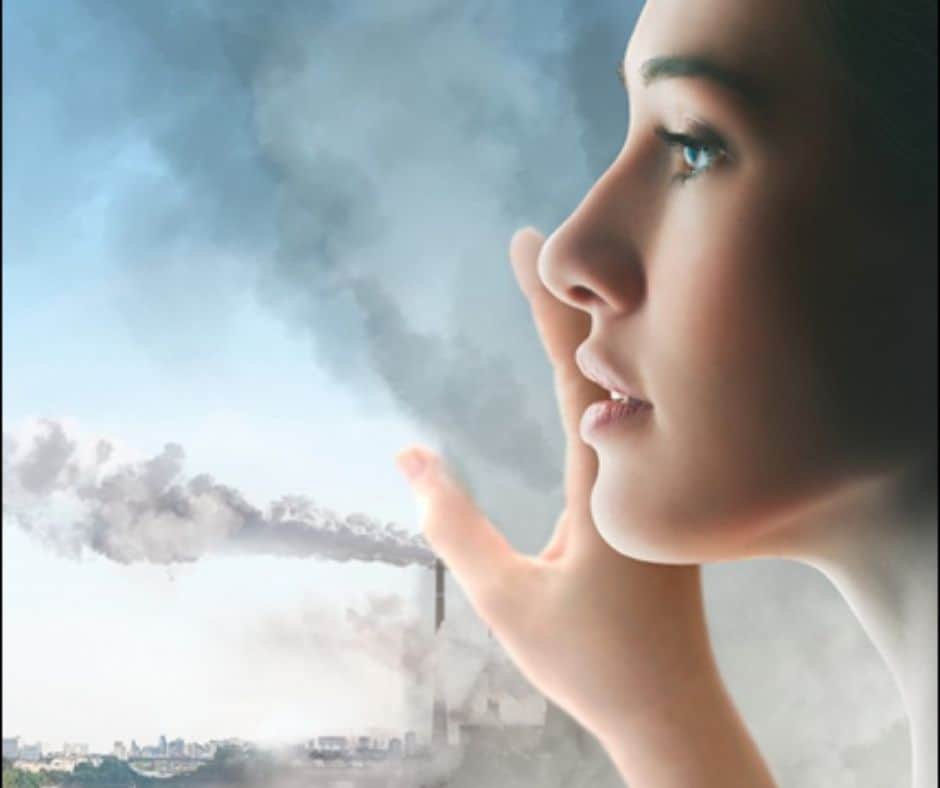 pollution affects the health of our skin